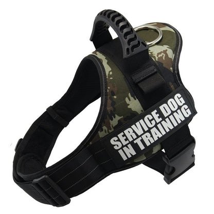 Dog Harness