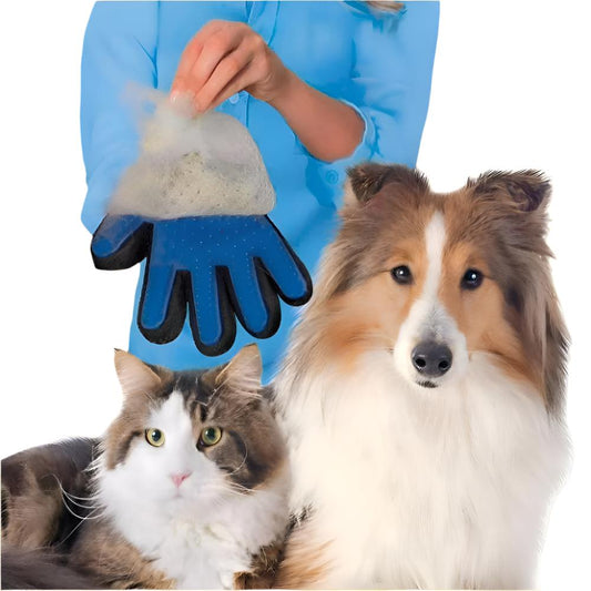 Grooming Glove