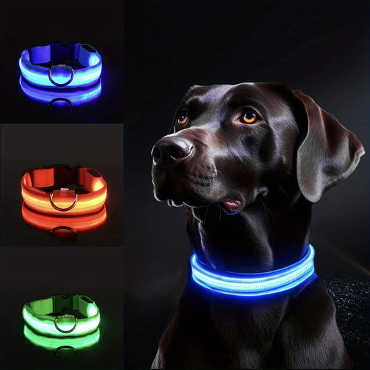 LED Collar